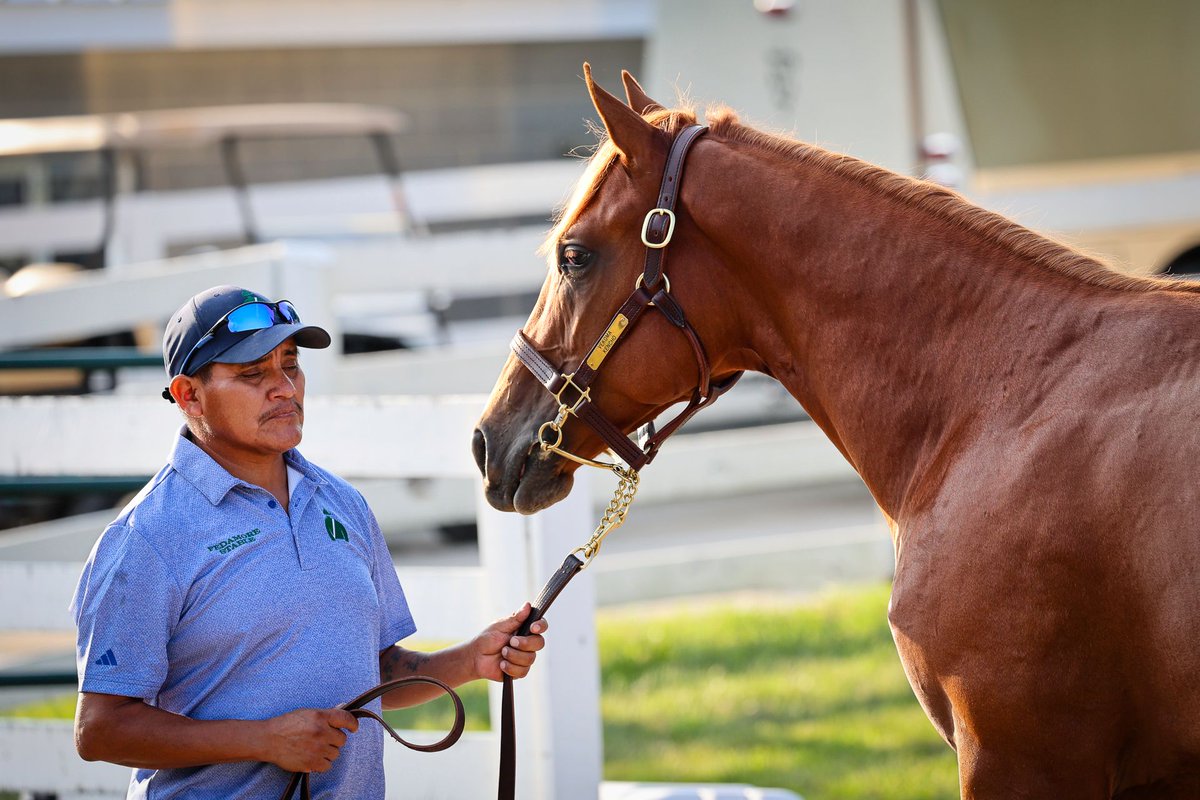 FedamoreStable's tweet photo. Today is the day. ⭐️ 

Our Book 2 yearlings head through the ring at Keeneland. We look forward to seeing you with your hands up. 🙌 https://t.co/VKDvywS4JR