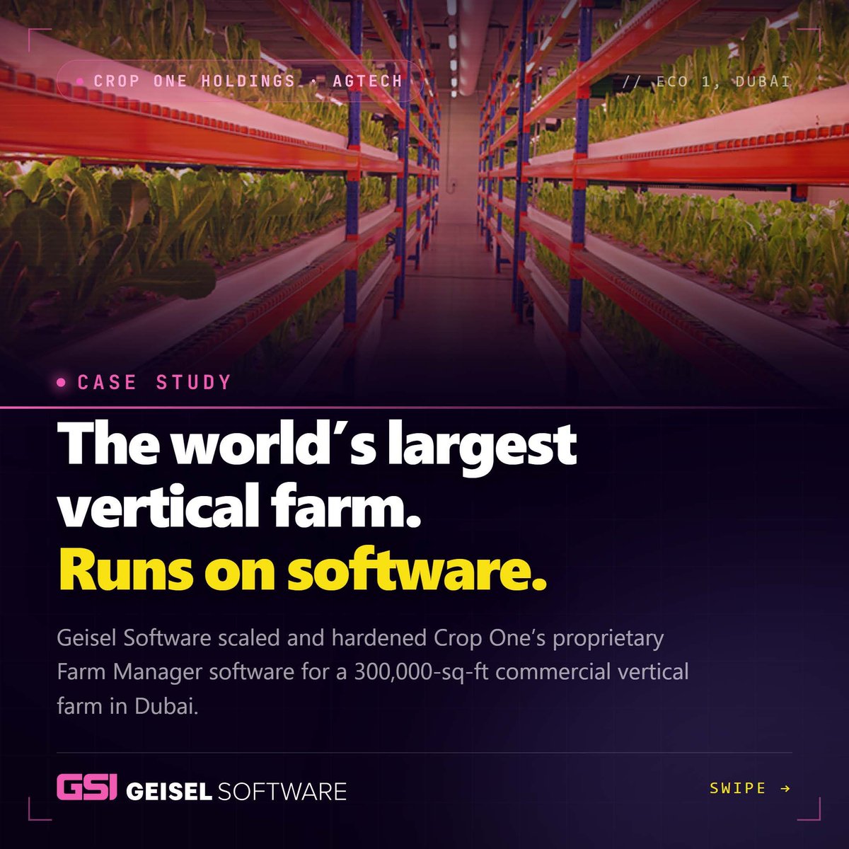 Geiselsoftware tweet picture