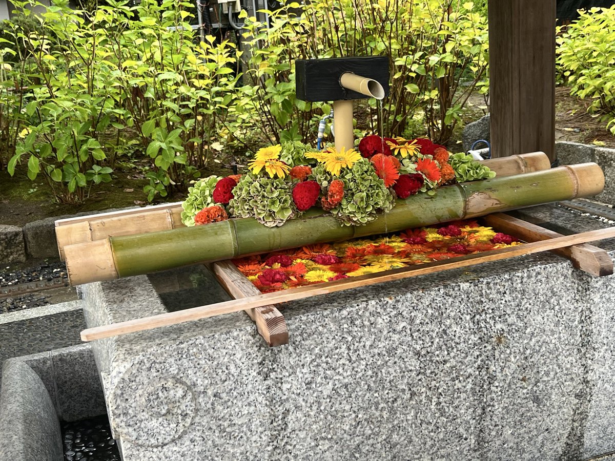 yt01230835's tweet photo. 2026.9.9
新潟市中央区　白山神社⛩️

月参りに伺いました。
七五三まいりの幕が飾られていました〜そんな時期が近づいてきましたね！
手水舎のお花も秋っぽくなってました🏵️

御朱印は3種いただきました。 https://t.co/vyWG2B0GzD