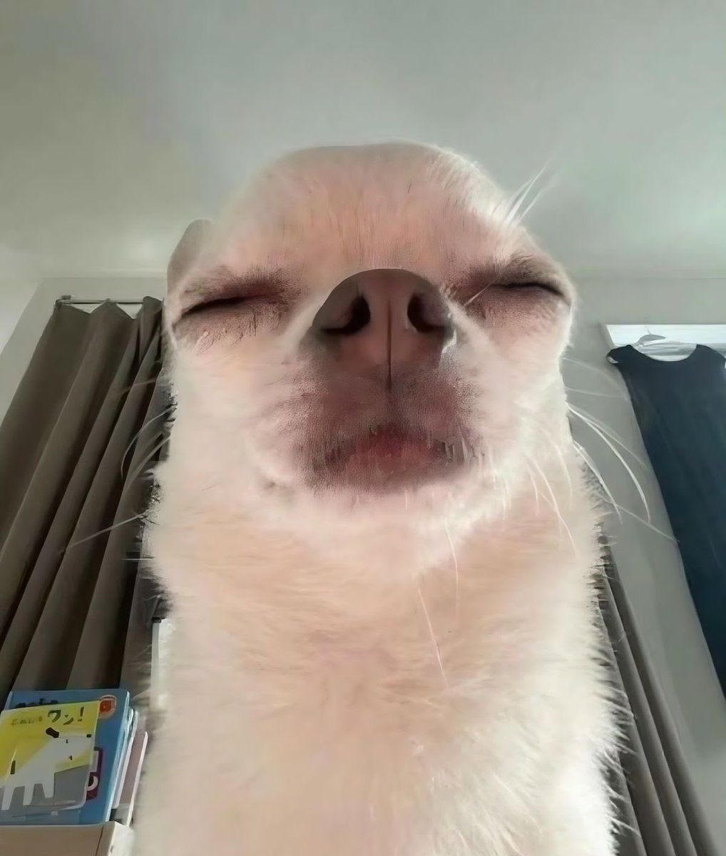 current515's tweet photo. (֊ ̫ ֊) https://t.co/purLHcfqRD