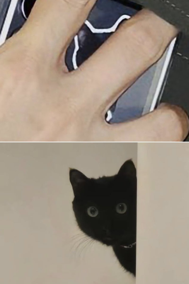 0613__yfeBTS's tweet photo. この人はどこまでも愛情深い人だ…
スマホケースにタンくんらしき黒猫のステッカー可愛すぎるㅠㅠ

ユンギさんの好きなところはこういうとこです https://t.co/o2RnZQrMHd