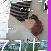 asapin8's tweet photo. 寝てるだけのこたたくありがとうございます🙇‍♀️ https://t.co/Dh3OXre2jr