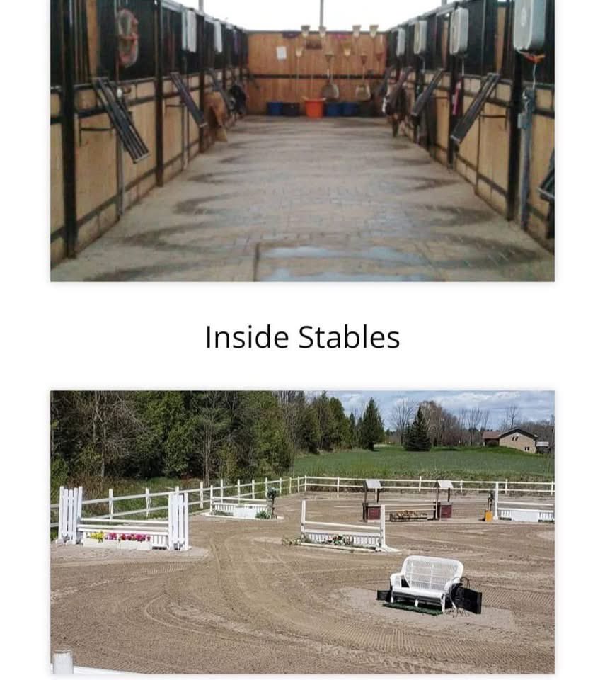 JJODISABILITY's tweet photo. Rushmount Equine Sports is looking for a special new team member to join us. Looking for someone Tues,Wed ,Thurs to so general barn duties to include: feed ,turnout, stalls, general, cleaning. https://t.co/7qmnLNtCox