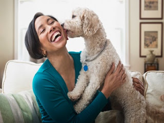 saudeeconhecer's tweet photo. Gente Que Tem Cachorro Sofre Menos Com a Depressão
https://t.co/23uFppiVFM https://t.co/rzhGbnWd8r