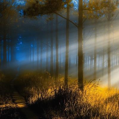 janicecamacho20's tweet photo. 🍁 🌻 🎁 🔥 🎉 Over dinner, debated anaphora arcs anaphoras arcing debates. https://t.co/1tWaZ0hCY8