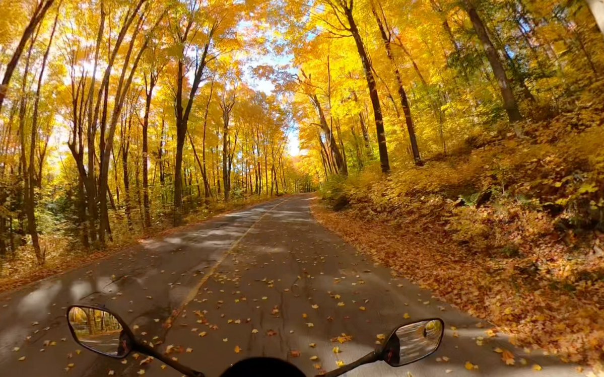 alinx534302's tweet photo. Sunny autumn afternoon vibes—crunchy leaves, warm coffee in hand, perfect short walk to soak up the golden light. https://t.co/bJ5ZQ7ibpw