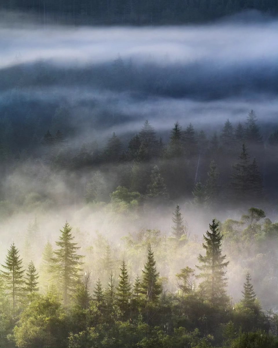 Schoenberger_K's tweet photo. Fogland 
When magic happens but the magic spell is changing within every second.
Last week during a tour with nice people at the Bavarian Alps.

#landscapephotography #landschaftsfotografie #fog https://t.co/oxiwTBkiOZ