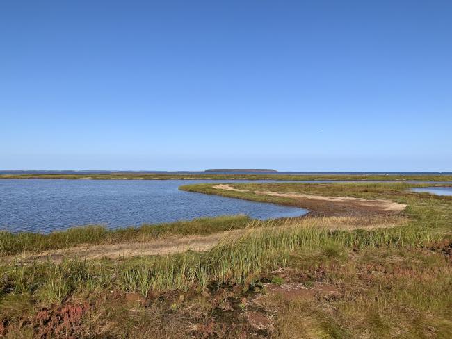 Rivage sinueux d’un lagon côtier bordé de végétation brune et verte sous un ciel bleu.