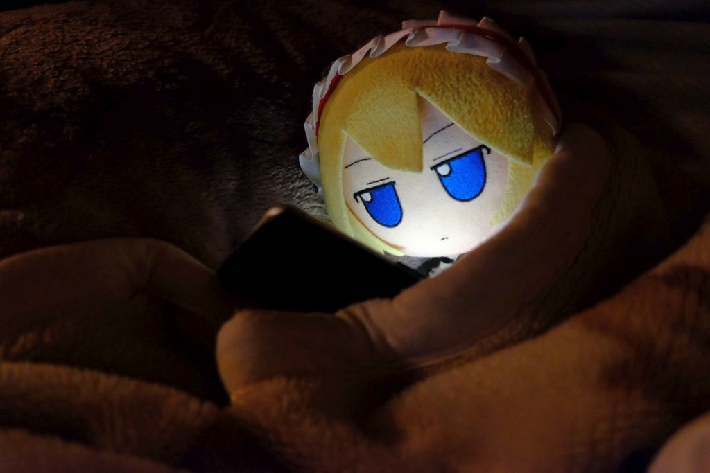 U_KAZUYA's tweet photo. やっぱり作業は朝活でやるか深夜作業じゃないと全然進まないや

アリス「じゃあ～早く寝ましょ」
#ふもふもありすのいる風景 https://t.co/3dFVMQ2lJ4