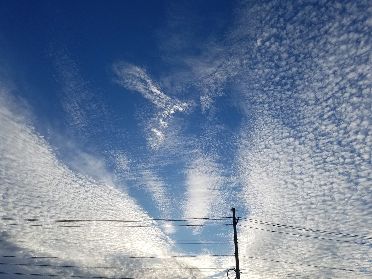mochimarudou's tweet photo. 職場のドアを開けたら、こんな空でした。
真ん中のが鳥っぽくてかっこよい。 https://t.co/wxBRFhCP2V