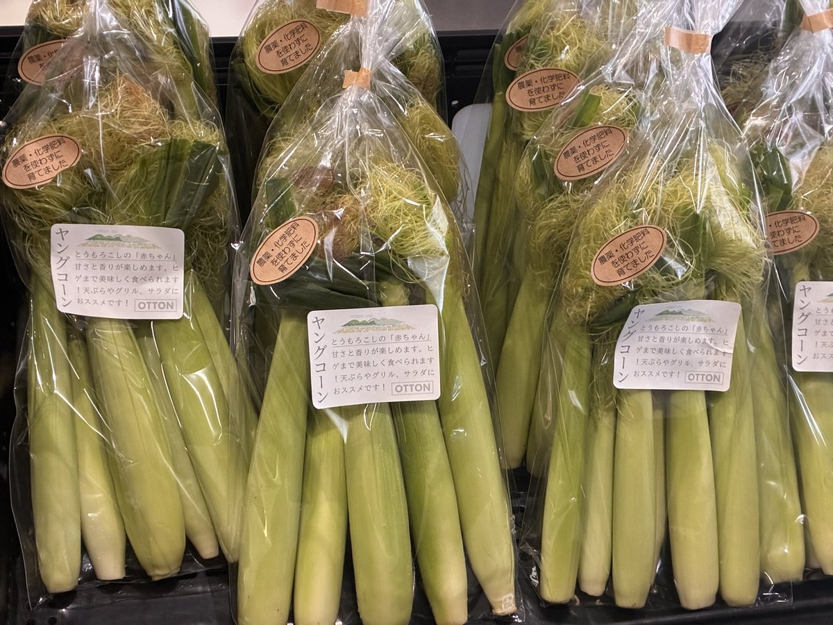otton_bento's tweet photo. 🌽ヤングコーン🌽

本日より『道の駅　みなみの里』にてヤングコーン🌽を販売しております‼️

農薬・化学肥料不使用なのでヒゲまで甘く美味しく召し上がって頂けます😋

この時期にしか味わえないシャキッとした食感です！

サラダやグリル、天ぷらなどで味わってください🤗

#ヤングコーン
#天尊の壌 https://t.co/8qpgSSgd6i