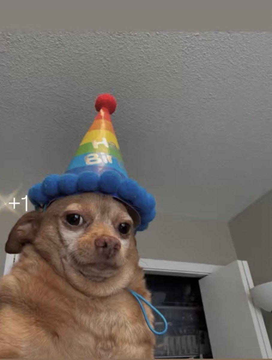 Zayyad_wolf's tweet photo. +1🥳
Happy Birthday To Me https://t.co/kauTQyDxTh