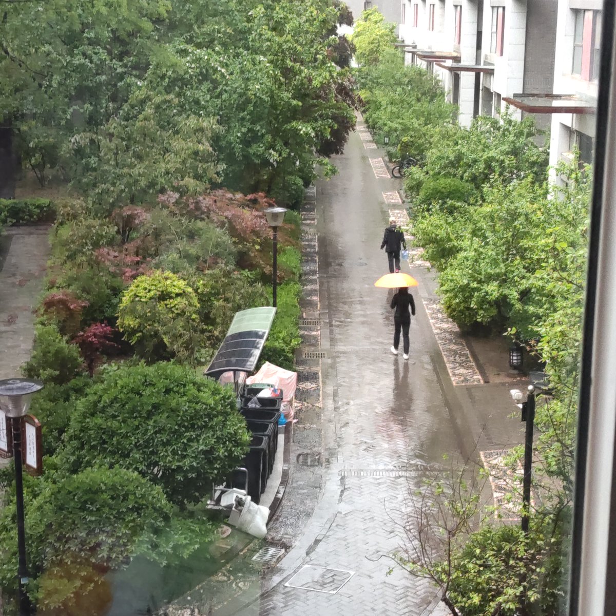 espeo968060's tweet photo. A stranger helped me pick up all my spilled groceries in the rain without asking for anything in return—restored so much faith in small kindnesses today. https://t.co/ZbjtkZiJLY