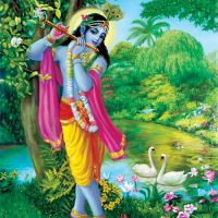 Abhidevananda's tweet photo. ANTICIPATING
Lifetime after lifetime I've been waiting to obtain His kind mercy.
#mysticmusic,#prabhatsamgiita,#contemplation
https://t.co/IUM0I1ufff https://t.co/5jrx9UD52T