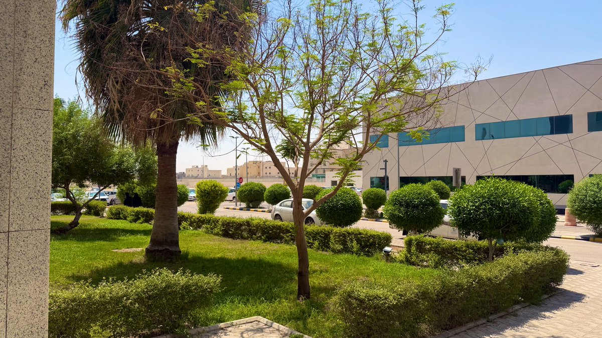 ange1lil's tweet photo. من الساعه تسعة بالمستشفى \:
بس الجو يشفع للمرمطة الي صارت https://t.co/JMA9TBwzKO