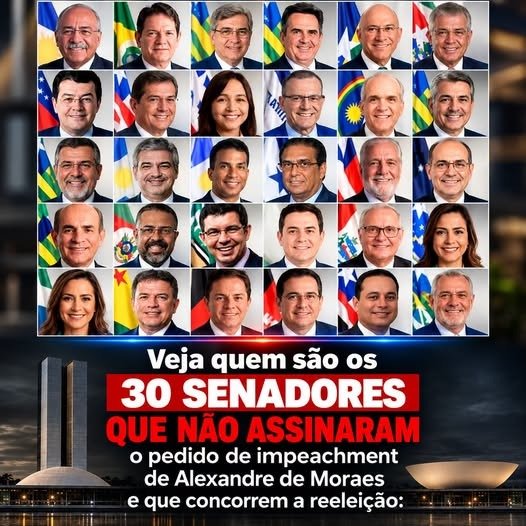 Regina23Almeida's tweet photo. Não vote em traidores https://t.co/24avQo4KbG