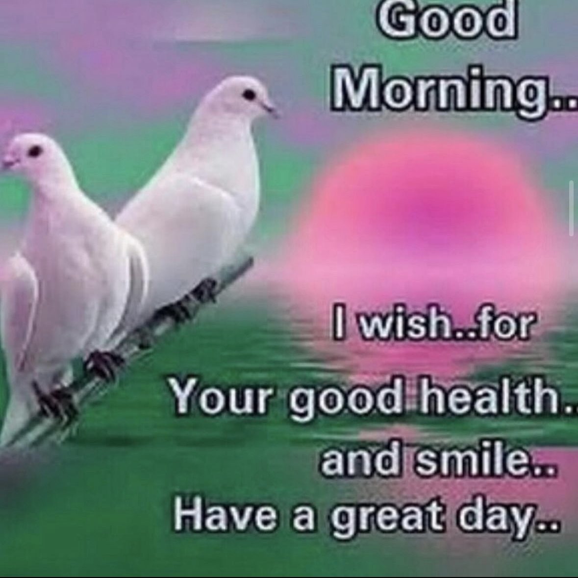 birdwarehouse_ tweet picture