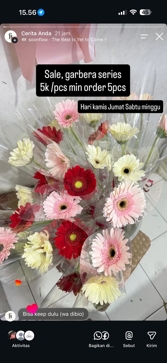 undipmfs3's tweet photo. -selldips! Open PO single garbera
Bisa langsung hubungi IG SYIFA BOUQUET39 https://t.co/ZrnwLXOWck