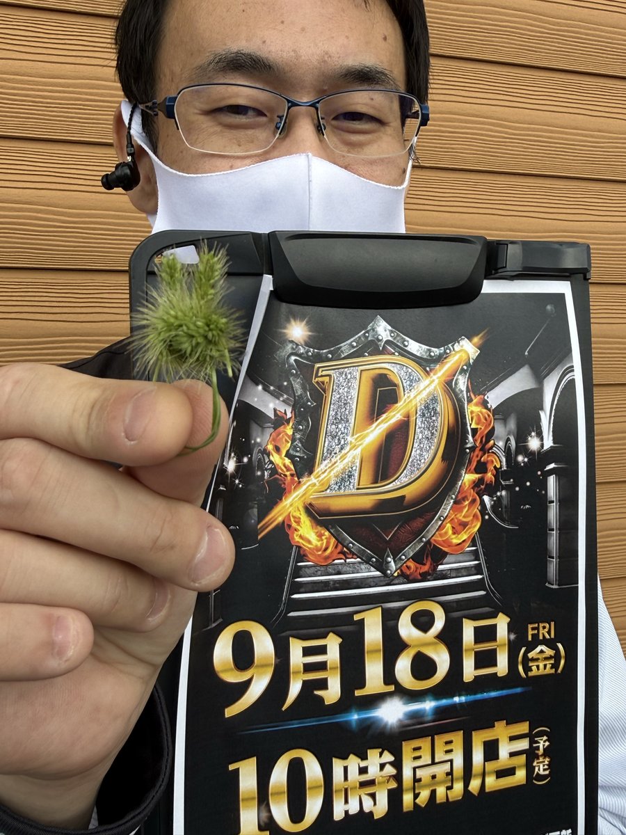 dynam_00253's tweet photo. どうも、あべ氏です

駐車場の草むしりをしていたら
猫じゃらしが生えていました
すっかり秋らしくなりましたね～

せっかくなのでうさぎの顔にしてみました
・・・うまく見えるかな？

さて明日のダイナム滋賀八日市店は！？

╋━━
　 📅9月18日(金)
　　店長ブログ更新‼️
 　　　　　　　　━━━╋

⏰開店時間は朝10時予定
⚠️入場抽選は【9:40】から⚠️

明日のご来店も従業員一同
お待ちしております👋✨

#ダイナム #ブログ更新