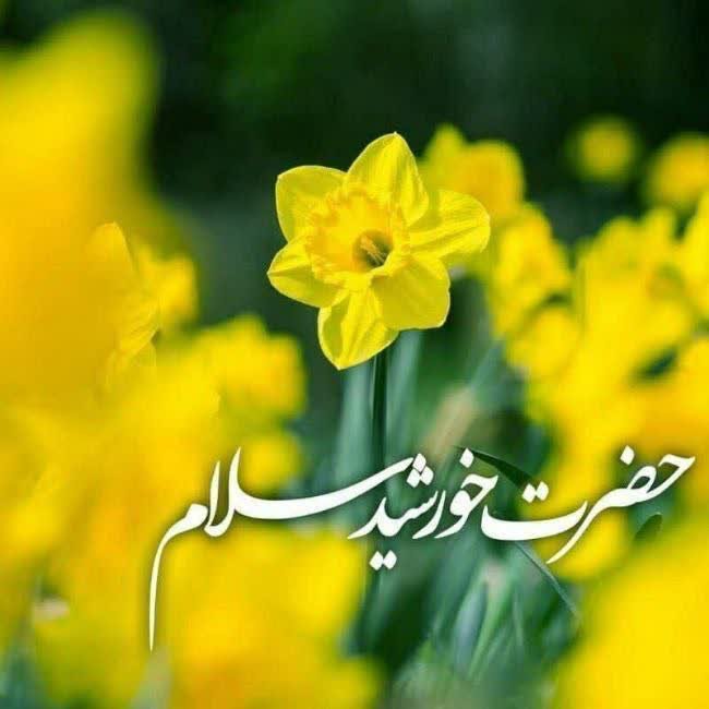 Haneihbanoo's tweet photo. ‌امروز جهان شور قیامت دارد
‌ابر کرم خدا کرامت دارد

‌ذرات جهان به یکدگر می‌گویند
‌خورشید به سر تاج امامت دارد

اللهمَّ عجل الولیک الفرج 
#فالو_بک https://t.co/bhG4jrXFgn