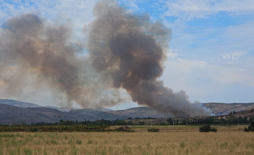 Guadared_info's tweet photo. Incendio en una zona militar de Uceda: movilizados 22 medios y 72 efectivos
https://t.co/W0cgzmm8zR #IFUceda #Uceda #GuadaRed Foto: @OscarBForestal