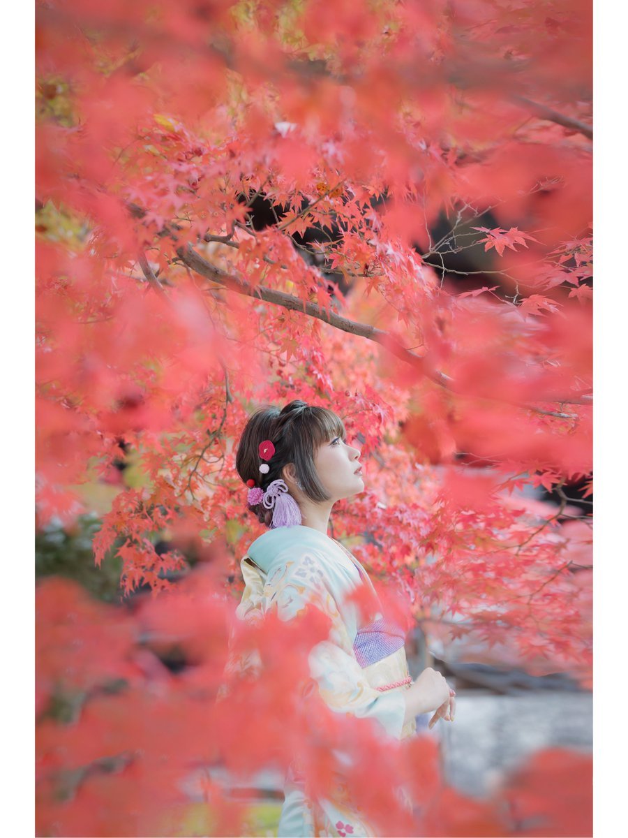 Thor_0916's tweet photo. 紅葉　モデル　むらさきさん https://t.co/w4h1Qty1oU