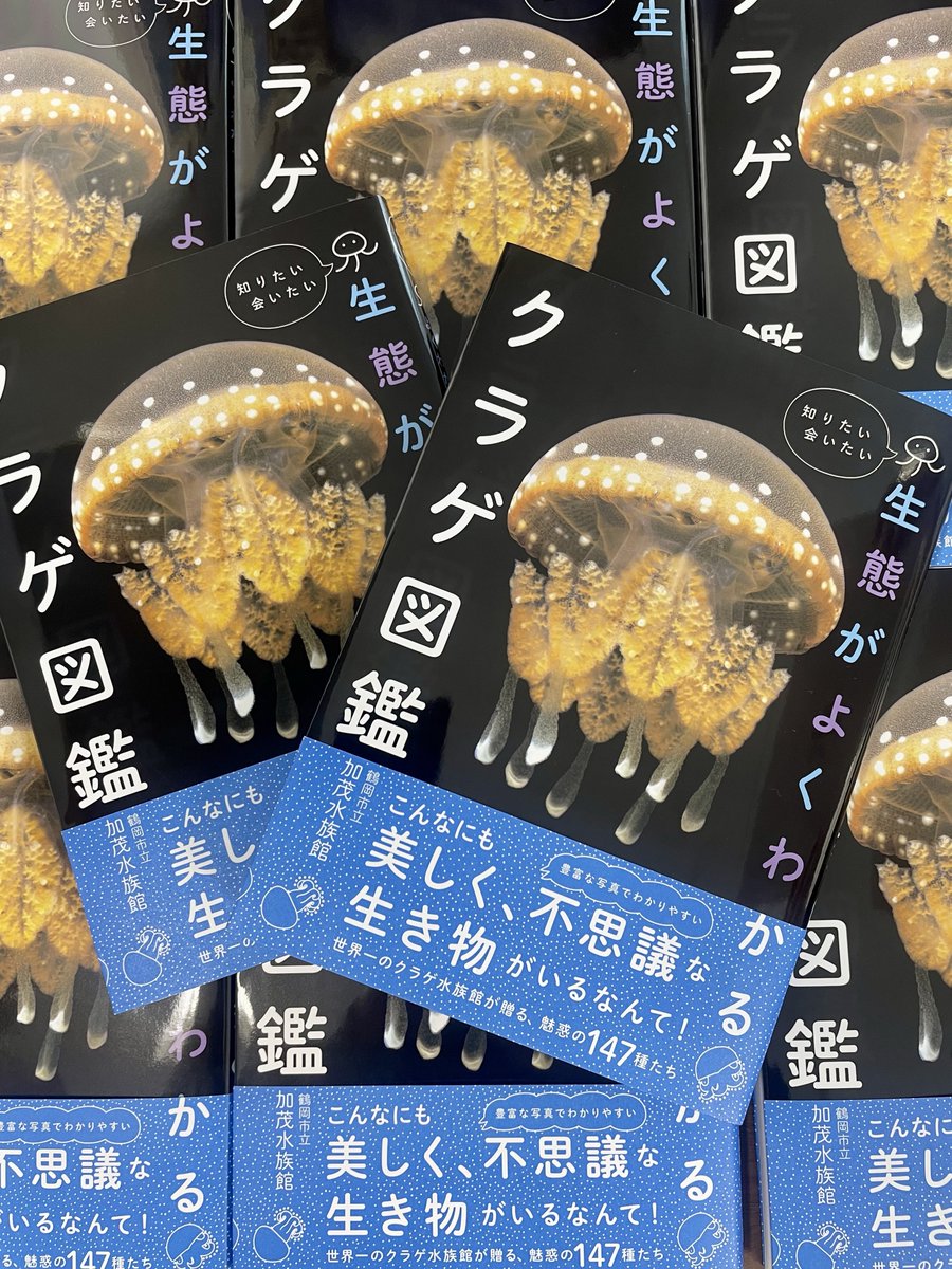 JELLYFISHAQ's tweet photo. \\ 📗クラゲ図鑑 増刷しました✨📗//

かもすいが作った「クラゲ図鑑」が再度、増刷となりました🪼購入してくださった皆様ありがとうございます😭 まだ買っていない方はぜひ手にとってお買い上げください！

■ 生態がよくわかるクラゲ図鑑
■ 鶴岡市立加茂水族館 (著)
■ 定価1800円（＋税） https://t.co/pA7tXuXPIa