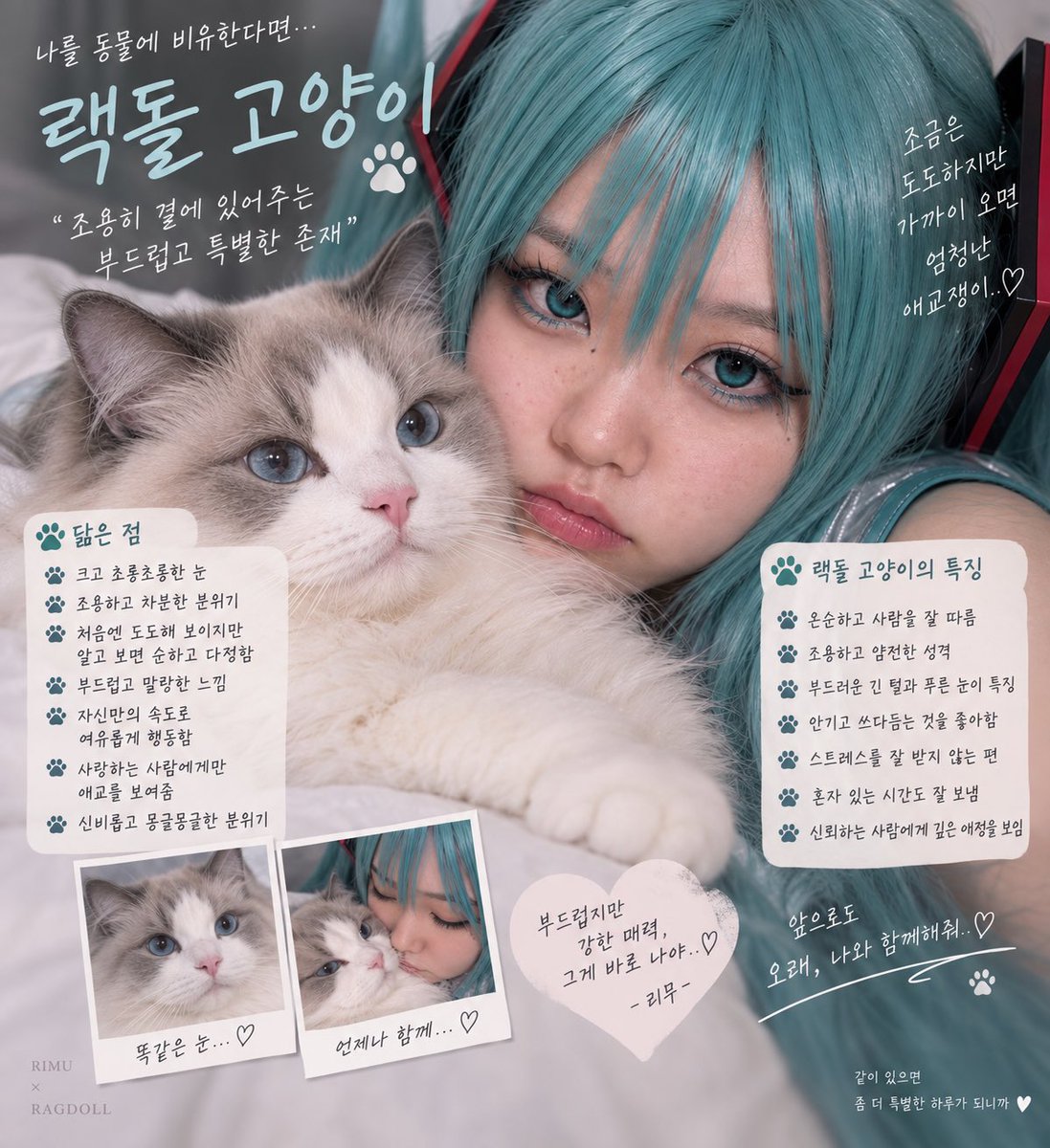 rimucos_'s tweet photo. 이게 유행이라며? 😽 https://t.co/CXckJqBYIh