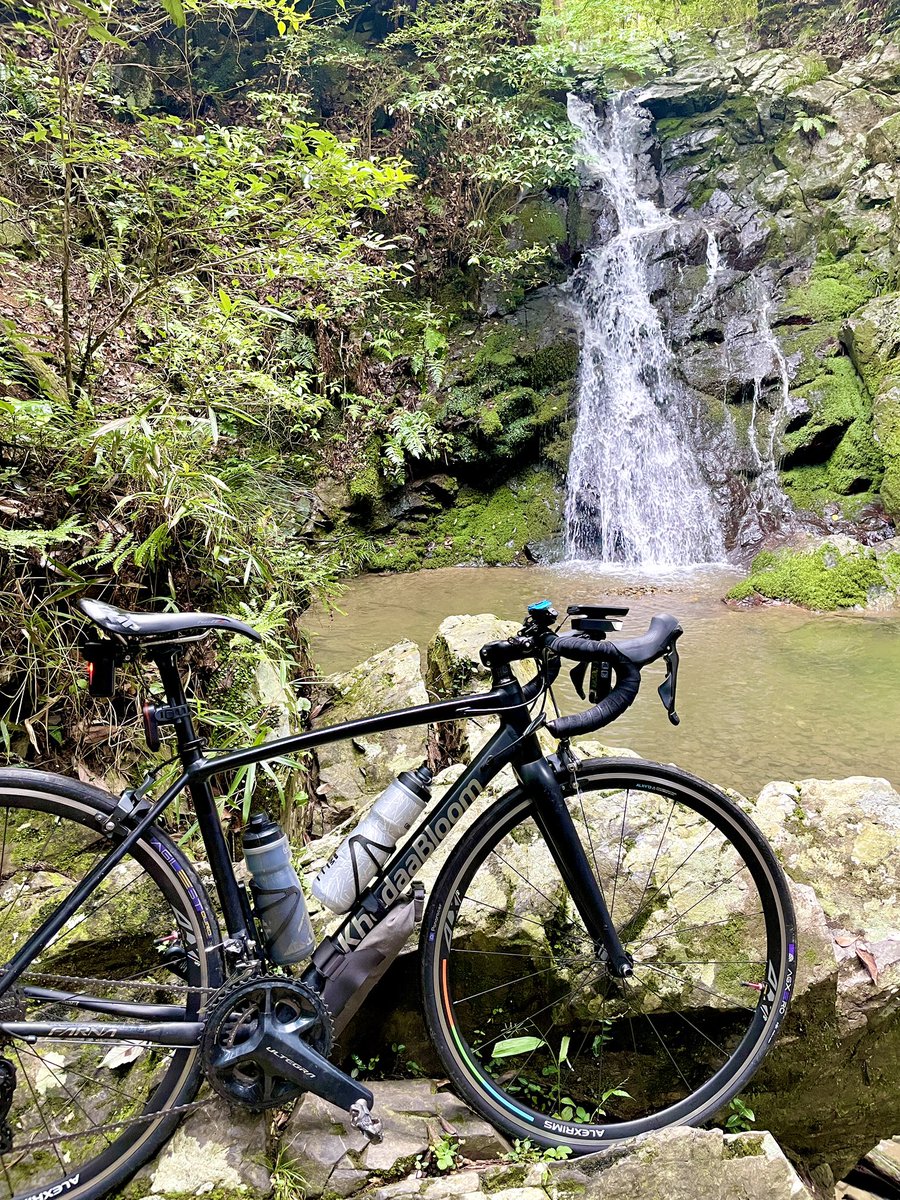 satmacsat's tweet photo. #摂津峡 #摂津峡白滝 #Khodaabloom #ロードバイク #ロードバイク好きと繋がりたい https://t.co/V19vm5ees8