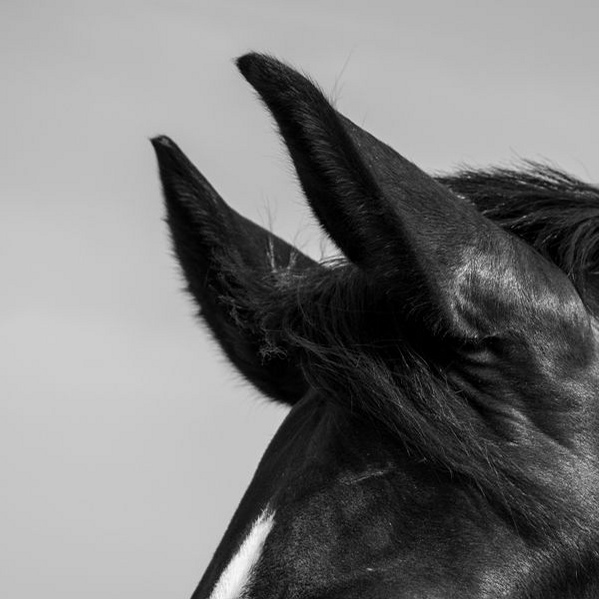 tim71445592's tweet photo. Been thinking about productivity lately. Good tools should remove friction, not create another thing to manage. 👏 🎯 🌸 ⭐ 💥 https://t.co/FKK5UtGAC5