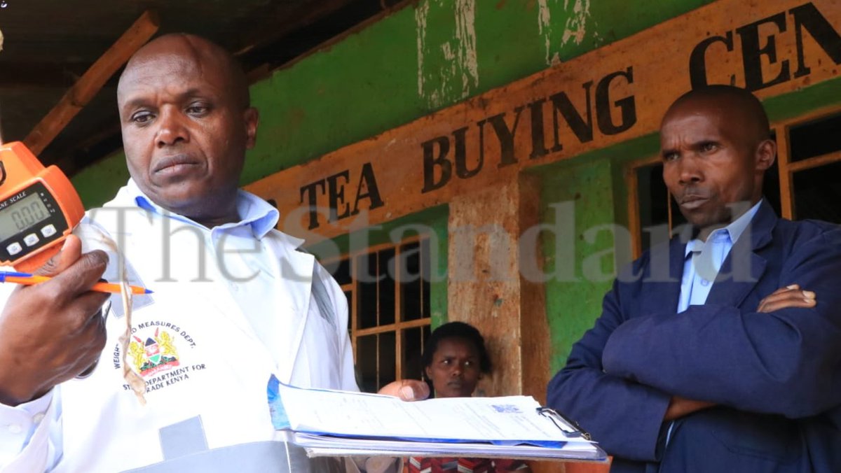 StandardKenya's tweet photo. The Tea Board of Kenya and the Department of Weights and Measures have detained eight employees from Litein, Chelal and Kapkatet tea factories, as well as Browns Plantations, over suspected irregularities in the weighing of green leaves delivered by small-scale farmers in Bureti Constituency.

Three of the suspects work at Kapkatet Tea Factory, while the others are affiliated with Litein and Chelal tea factories and Browns Plantations.

The arrests followed a joint inspection by the two government agencies, which visited several tea buying centres, locally known as bandas, without prior notice.

Officials inspected the weighing machines used by tea collection agents to determine the quantity of green leaves delivered by farmers before the produce is transported to processing factories.

Photos by Nikko Tanui