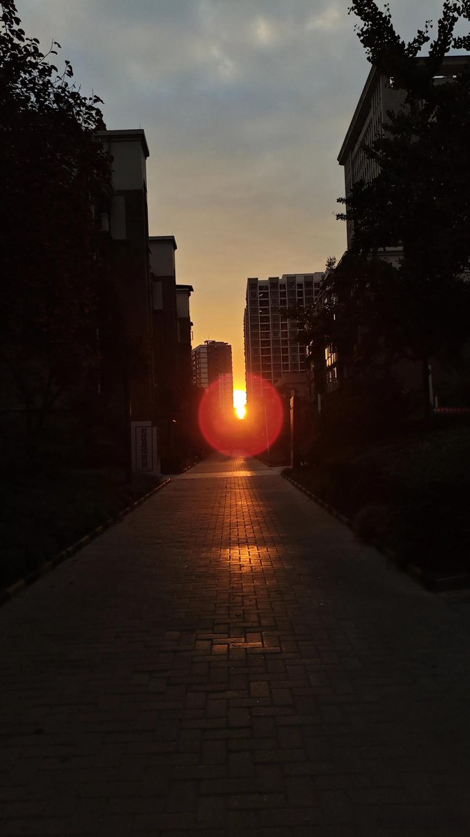 wjrtjd75's tweet photo. Sunset glow painting the old street wall, random but perfect city moment https://t.co/5GVngGLozt