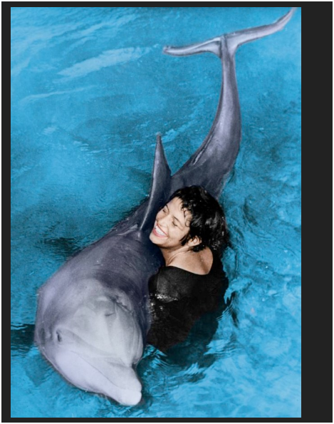 swathko's tweet photo. @chinesegroyper Margaret Howe Lovatt loved her dolphin. I mean love is love, but I mean once you go out species, you're in a Bukowski short story terrain, ey? https://t.co/9ckuLPjKFw