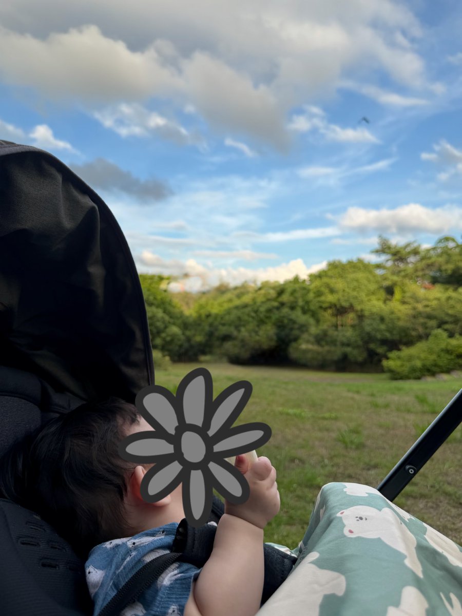 eyeshiny_gibous's tweet photo. お散歩!最近涼しいけど沢山動くとあつい!!! https://t.co/r3FJqz6gjE