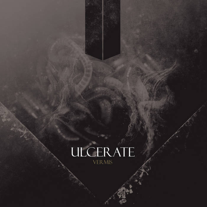 QtheMetal's tweet photo. #Anniversary #OnThisDay
Ulcerate β Vermis (2013)
13 years ago today the New Zealand death metal force dropped this suffocating album. Dissonant riffs, crushing atmosphere, and technical dread! π³πΏπ
#Ulcerate #Vermis #DeathMetal #TechnicalDeathMetal https://t.co/siBd7AIE5U