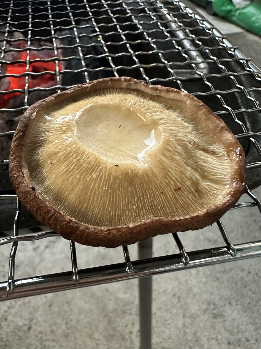 masa01050's tweet photo. 焦げるくらい焼いたシャウエッセンにほりにし
くりまんじゅうのように焼いたしいたけ
全摘出サザエ
幸せ https://t.co/zLLog5U684