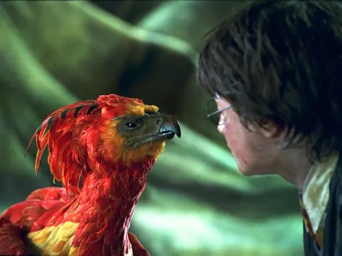 leemarh7099's tweet photo. Can't believe I was that thick.

Book 1: Harry gets his wand and Ollivander tells him the core is a phoenix feather. That phoenix gave only one other feather. And who got that? None other than totally-dead, definitely-carked-it, pushing-up-the-daisies Voldemort.

Later in the same book, Harry finds out that “dead” isn't necessarily that correct. Voldy's still hanging on there.

Book 2: Harry sees Dumbledore's pet bird die and gets told, “Yeah, they do that but they get better.” And Fawkes comes back.

Book 4: guess who's back? Back again?

Book 7: Harry dies. But he comes back.

Two characters with a phoenix feather in their wand die and come back to life. And the one who eventually stays dead is the one who gave up his phoenix wand.

Like a fucking phoenix.

How did it take me THAT long to make the connection?