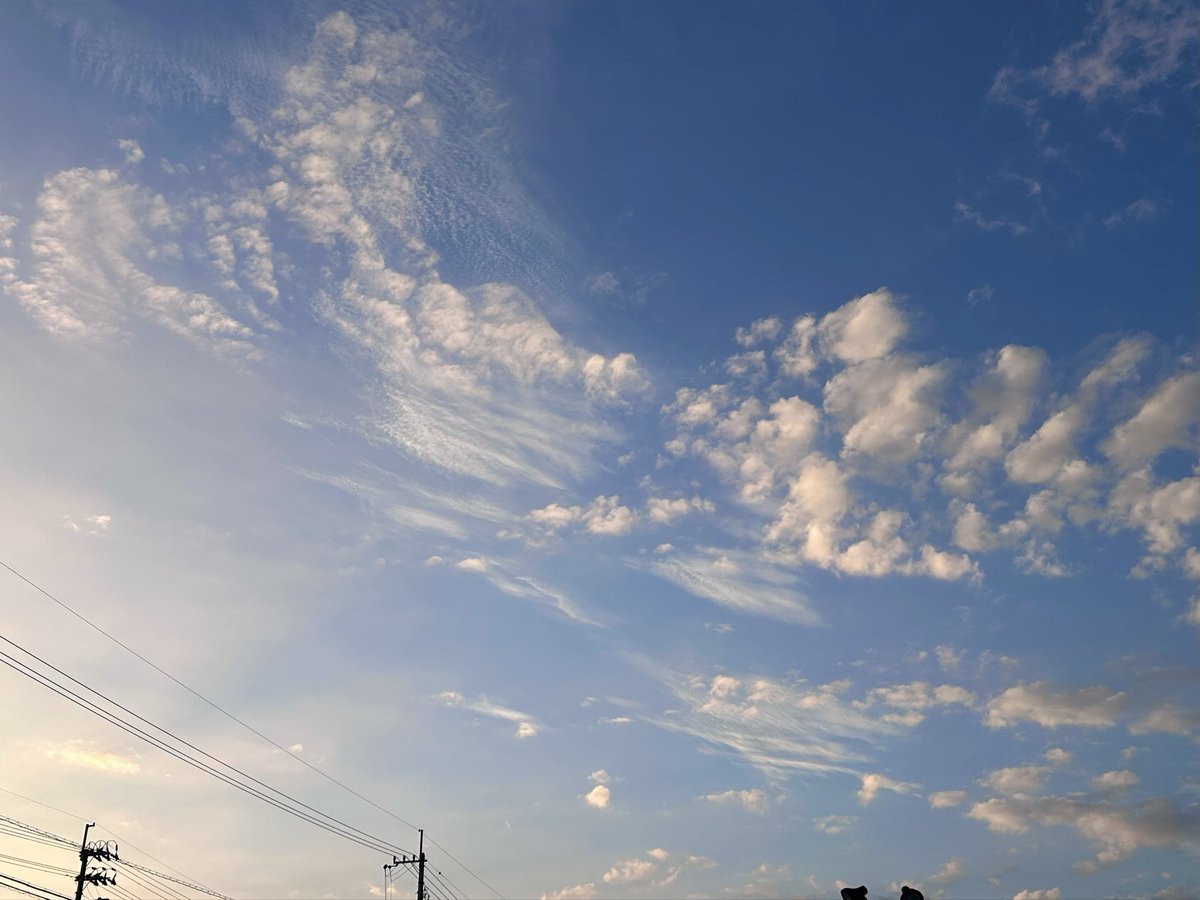 sumika376517's tweet photo. https://t.co/iWkMf2K3z9