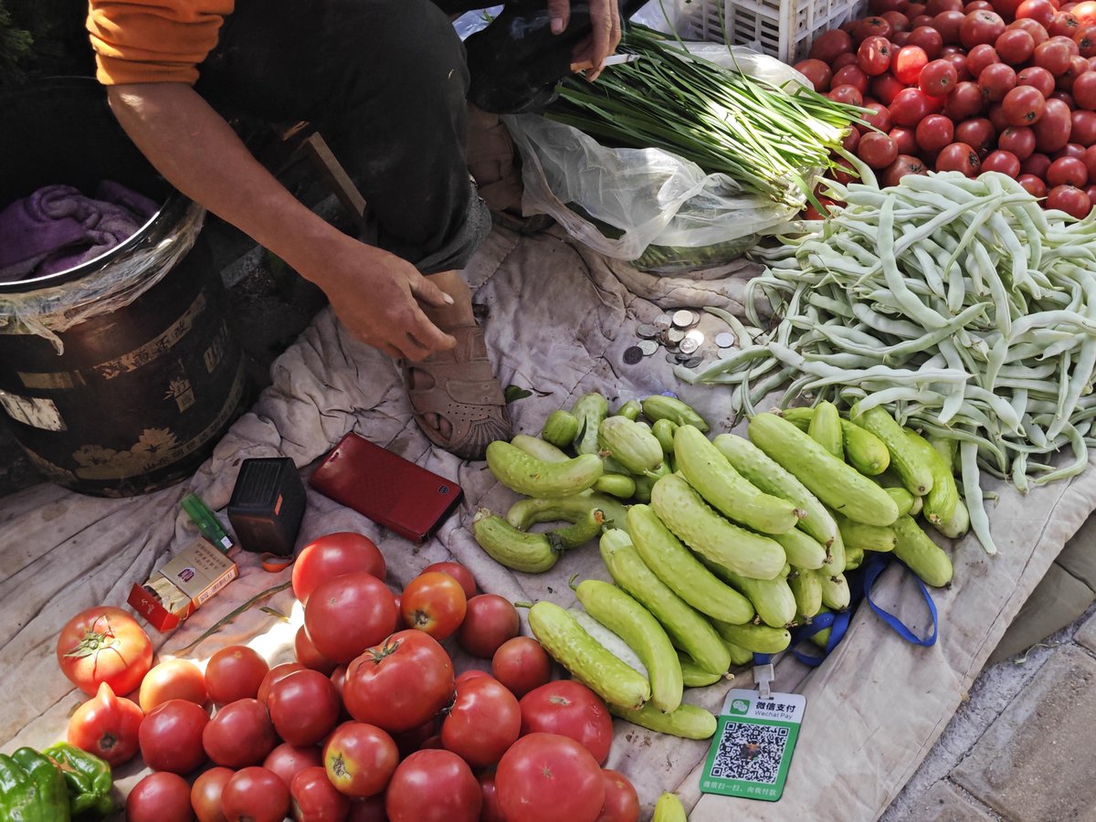drusk101759's tweet photo. Got your weekly fresh picks! Local tomatoes, crisp lettuce, and free-range eggs on the list—grab them fresh from the farmers’ market this morning. No fancy frills, just good basics for your meals.， https://t.co/6mqslSmh8J