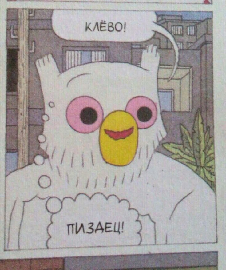 HodzukiZ's tweet photo. Хочу такой же уровень тревожности как у человека, что имеет долги по всем кредиткам, но он все равно садится играть в карты и проигрывает ещё 15к https://t.co/qgkuQysk1i