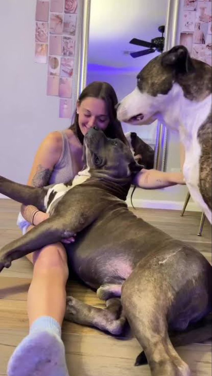 Khloekissses's tweet photo. Exclusive Hot Dog knotting contents on my telegram link below
https://t.co/LFtPwUH8M0
#Beastiality #Dogknott #dogknotting #k9
#Taboocontent #Dogknottqueen #zoopride
#zoosarevalid #zoophillia #zoophilist https://t.co/mdlSCDgavT
