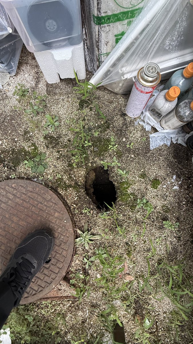 masaoka_pro's tweet photo. マンションの敷地内に出来た、この穴なんなん？

って俺には分かる！
たぶん。。 https://t.co/CdI45AobN3