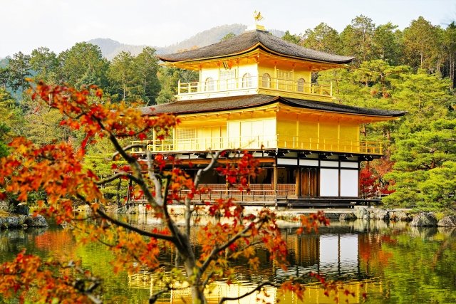kyoto_triptime's tweet photo. 京都の秋・金閣寺
黄金の楼閣が秋の光にきらめき、鏡湖池に映る。静かな美を味わえる場所。
おすすめ：景色をじっくり眺めたい人
＃京都　＃金閣寺
【PR】京都宿泊に待月亭 一軒家貸切で4人まで泊まれるので、割り勘すればリーズナブル。京都旅の拠点にどうぞ🙌 https://t.co/tMjqHzen0A https://t.co/zkh5VbSCmt
