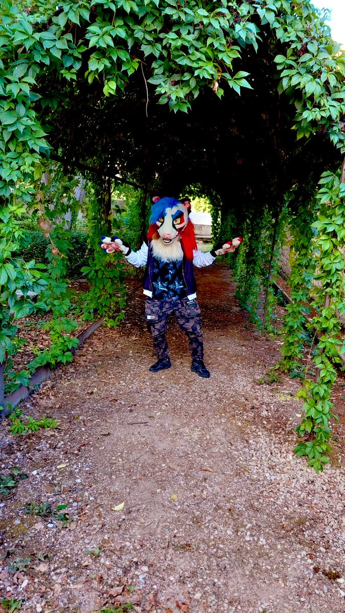 GarciGreen's tweet photo. Genet clown in Miranda de Ebro 🤡 🪴🏰

#Fursuit #Fursuiting #Castle #BotanicGarden #MirandaDeEbro #Burgos #CastillaYLeon https://t.co/LMvtR3N52l