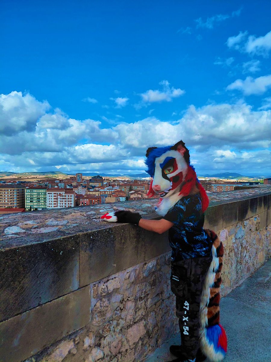 GarciGreen's tweet photo. Genet clown in Miranda de Ebro 🤡 🪴🏰

#Fursuit #Fursuiting #Castle #BotanicGarden #MirandaDeEbro #Burgos #CastillaYLeon https://t.co/LMvtR3N52l