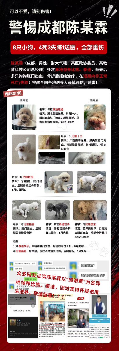 Mizu09587295's tweet photo. 陈肖霖
日本早稻田大学博士毕业
看样子经常往返日本
还有一年就能拿到香港身份
全国各地付钱领养宠物狗
拔牙 强奸 虐待 致死
大家盯紧这个臭虫
#中国動物虐待
#中国动物虐待
#拡散
#扩散 https://t.co/crzSqLhLzy