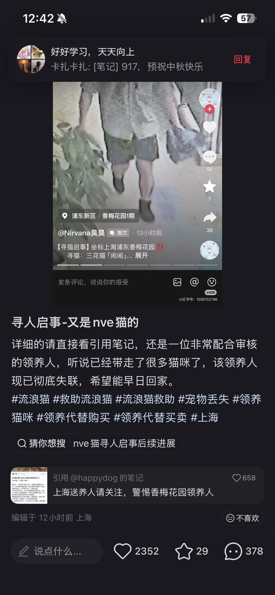 Mizu09587295's tweet photo. 陈肖霖
日本早稻田大学博士毕业
看样子经常往返日本
还有一年就能拿到香港身份
全国各地付钱领养宠物狗
拔牙 强奸 虐待 致死
大家盯紧这个臭虫
#中国動物虐待
#中国动物虐待
#拡散
#扩散 https://t.co/crzSqLhLzy