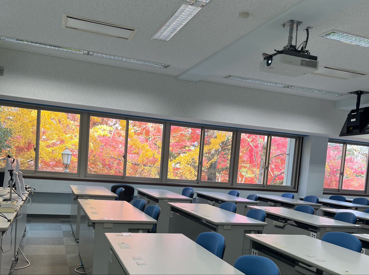 donguri_party_'s tweet photo. 奈良女はいいぞなツイートを沢山見るのでわたしもひとつ   秋になると学内の葉っぱがかなりいい感じになります🍁   教室の窓がでっかい絵画みたいになってるの、4年間毎年いいなーと思って過ごしてた♩ https://t.co/AidJk9L29L