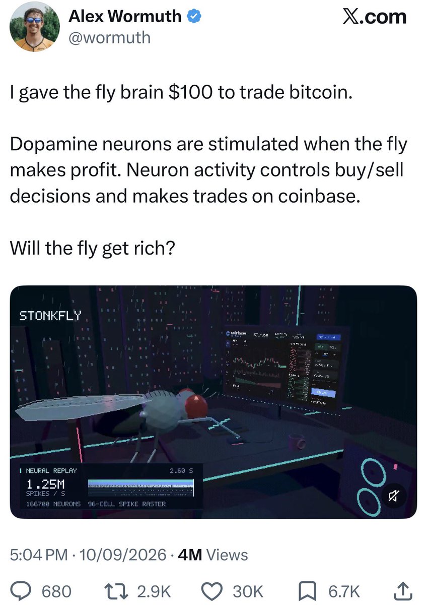 0xratnakar's tweet photo. the internet got access to a fruit fly’s brain and immediately started doing the most unserious things with it.

someone made it play DOOM.

someone made it trade bitcoin.

someone trained it to solve a rubik’s cube.

someone got it playing super smash bros.

this is exactly why i love the internet.

give people a weird new piece of technology/research and a few days later someone is going to do something you never thought of.

so this sunday at @aiandweekends we’re doing a Fruit Fly-athon with @devfolio 

come build something fun with a fruit fly brain.