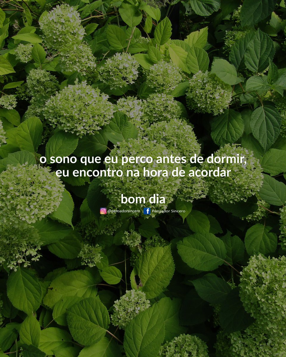 pensadortwitta's tweet photo. https://t.co/z7CZe3VBtV